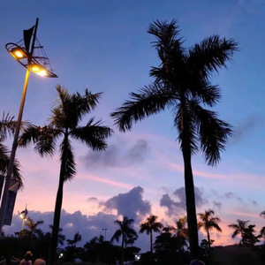 小玲的嫩苞又嫩又紧视频
